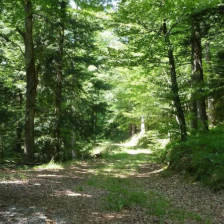 Kro Zum Schwanen 3*